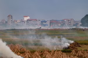 Người dân đốt rác và phụ phẩm nông nghiệp từ khu vực ngoại thành Hà Nội. (Ảnh THẾ ĐẠI)