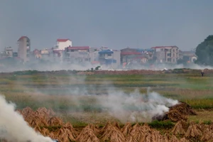 Người dân đốt rác và phụ phẩm nông nghiệp từ khu vực ngoại thành Hà Nội. (Ảnh THẾ ĐẠI)