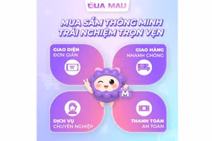 Một thế hệ nền tảng mới đang xuất hiện trong thương mại điện tử