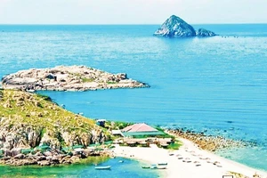 Đảo Hòn Nội, nơi có lượng chim yến sinh sống rất lớn, do Công ty Yến sào Khánh Hòa quản lý, khai thác. (Ảnh CTV)