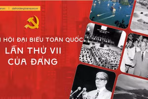 Đại hội đại biểu toàn quốc lần thứ VII của Đảng