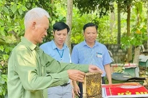 Người cao tuổi phát triển kinh tế gia đình