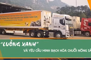 “Luồng xanh” và yêu cầu minh bạch hóa chuỗi nông sản