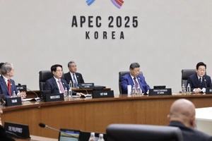 Chủ tịch nước Lương Cường dự Phiên họp thứ 2 Hội nghị Cấp cao APEC lần thứ 32. (Ảnh: LÂM KHÁNH/TTXVN) 