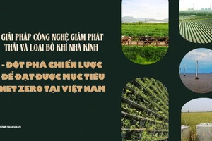 Giải pháp công nghệ giảm phát thải và loại bỏ khí nhà kính - Đột phá chiến lược để đạt được mục tiêu Net Zero 