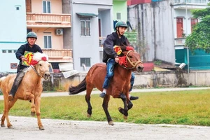 Những vòng đua nghẹt thở hấp dẫn du khách.