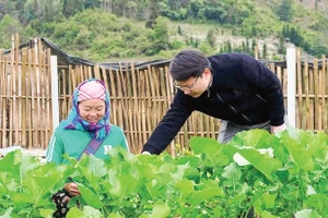 Phó Bí thư Thường trực Đảng ủy xã Tả Củ Tỷ Bùi Văn Vinh (áo đen) hướng dẫn người dân chăm sóc vườn rau hộ gia đình.