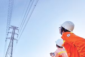 Lực lượng vận hành sử dụng UAV đốt vật bay vướng vào đường dây.