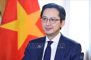 Đại sứ Đỗ Hùng Việt. (Ảnh: TTXVN)
