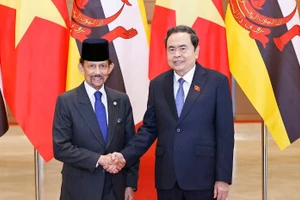 Chủ tịch Quốc hội Trần Thanh Mẫn hội kiến Quốc vương Brunei Darussalam Haji Hassanal Bolkiah. (Ảnh: DOÃN TẤN/TTXVN)