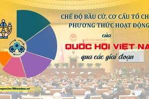 Chế độ bầu cử, cơ cấu tổ chức, phương thức hoạt động của Quốc hội Việt Nam qua các giai đoạn