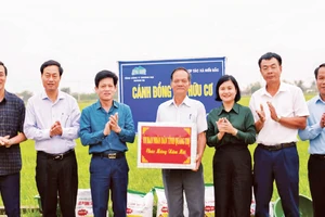 Lãnh đạo tỉnh Quảng Trị và Sở Nông nghiệp và Môi trường thăm mô hình liên kết sản xuất lúa hữu cơ tại xã Hiếu Giang.