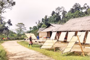 Người H'Mông ở Pà Cò miệt mài giữ nghề làm giấy giang. (Ảnh: LÊ BÍCH)