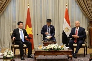 Chủ tịch nước Lương Cường hội kiến Chủ tịch Hạ viện Ai Cập Hanafy El Gebaly.