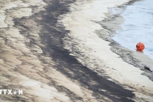 Dầu tràn trên bãi biển. (Ảnh minh họa: THX/TTXVN)