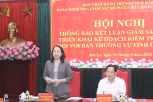 Đồng chí Võ Thị Ánh Xuân, Bí thư Trung ương Đảng, Phó Chủ tịch nước, Trưởng Đoàn Kiểm tra, giám sát số 29 phát biểu tại hội nghị. 