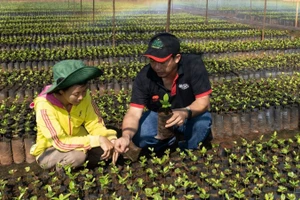 Đổi mới sáng tạo trong các hoạt động chuyển đổi xanh của doanh nghiệp.