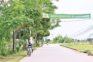 Đường giao thông xã Phúc Hòa (Bắc Ninh) được đầu tư đồng bộ nhờ chương trình xây dựng nông thôn mới. (Ảnh: BẢO LONG)