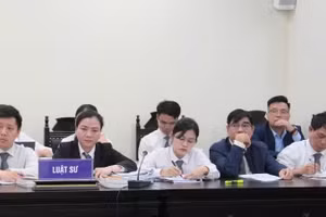 Các luật sư tham gia hành nghề tại một phiên tòa. (Ảnh: TL)