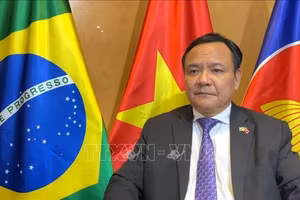 Đại sứ Việt Nam tại Brazil, Bùi Văn Nghị, trả lời phỏng vấn phóng viên TTXVN.