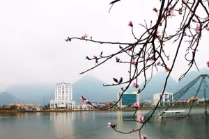 Một góc đô thị Lai Châu. (Ảnh: laichau.gov.vn)