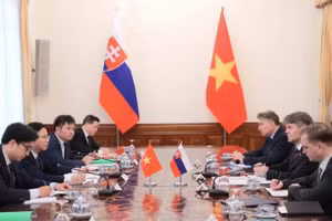 Thứ trưởng Ngoại giao Ngô Lê Văn và Quốc vụ khanh Bộ Ngoại giao Slovakia Marek Estok đồng chủ trì Tham vấn Chính trị cấp Thứ trưởng Ngoại giao Việt Nam-Slovakia. (Ảnh: An Đăng/TTXVN)