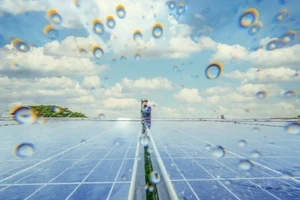 Philip Morris International (PMI) khi PMI liên tiếp góp mặt trong tốp 5 bảng xếp hạng "Net Zero Leaders" của Forbes trong 3 năm qua