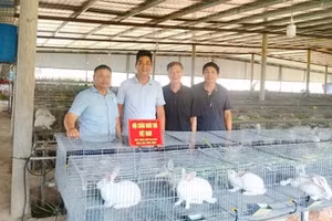 Hội Chăn nuôi Thỏ Việt Nam thăm mô hình nuôi thỏ thương phẩm của anh Phan Hồng Đức tại Đắk Lắk.