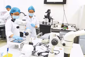 Phòng thí nghiệm tại Đại học Quốc gia Thành phố Hồ Chí Minh.