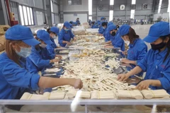 Quá trình chuyển đổi số-xanh gây áp lực lớn cho doanh nghiệp, đặc biệt là về chi phí. 