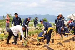Dự án cà-phê Okinawa nơi Nestlé Nhật Bản áp dụng mô hình tạo giá trị chia sẻ.