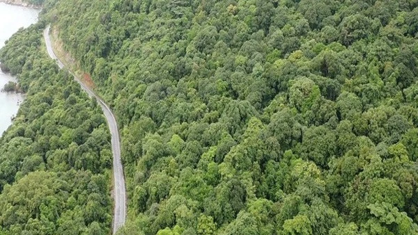 Vị trí được chọn làm nhà máy xử lý rác Côn Đảo nằm ở khu vực có rừng đặc dụng.