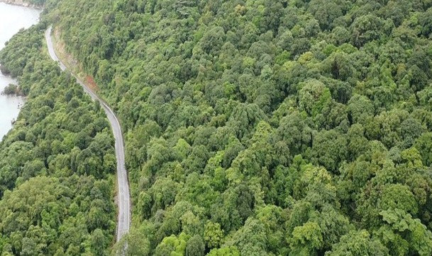 Vị trí được chọn làm nhà máy xử lý rác Côn Đảo nằm ở khu vực có rừng đặc dụng.