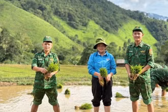 Đoàn Thanh niên Đồn Biên phòng Na Ngoi cùng Đoàn xã Na Ngoi và Chi đoàn Đoàn Kinh tế-Quốc phòng 4 giúp người dân bản Tổng Khư, xã Na Ngoi, huyện Kỳ Sơn cấy lúa vụ hè thu.