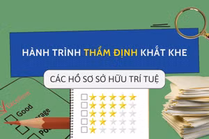Hành trình thẩm định chặt chẽ các hồ sơ sở hữu trí tuệ