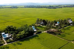 Những ngôi nhà an toàn được Ngân hàng Phát triển Châu Á (ADB) và Chính phủ tài trợ được xây dựng lại trong chiến dịch Quang Trung tại khu phố Đông Thạnh, phường Đông Hòa tỉnh Đắk Lắk.