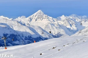 Ảnh minh họa. (Ảnh: THX/TTXVN)