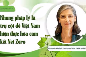 Bà Ramla Khalidi, Trưởng đại diện UNDP tại Việt Nam cho rằng, Việt Nam thể hiện quyết tâm trong việc thúc đẩy hành động ứng phó với biến đổi khí hậu cả trong nước và quốc tế.