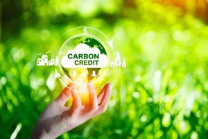 Ảnh minh họa. (Nguồn: Insurance Business Mag)