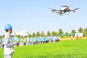 Chuyển đổi xanh toàn diện và hiệu quả, cần có ứng dụng công nghệ số để hỗ trợ.