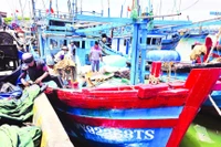 Ngư dân tỉnh Đắk Lắk chuẩn bị nhu yếu phẩm vươn khơi bám biển dài ngày khai thác cá ngừ đại dương.