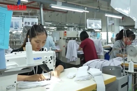 [Video] Dệt may Việt đẩy mạnh chiến lược nội địa hóa