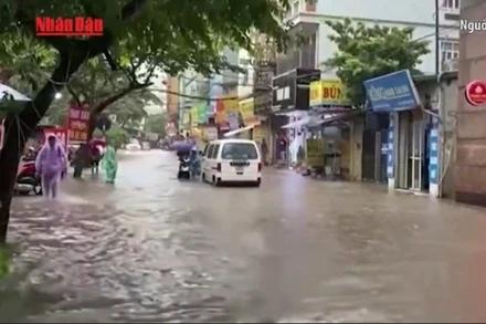 [Video] Nghệ An phân bổ 500 tỷ đồng khắc phục hậu quả thiên tai