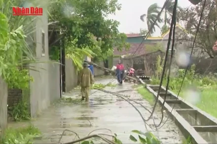 [Video] Bão số 5: 5 người chết, 3 người mất tích, gần 32 nghìn nhà hư hại