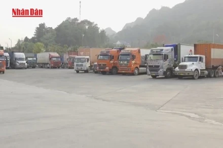 [Video] Hoạt động thông quan xuất nhập khẩu không bị ảnh hưởng bởi bão số 3