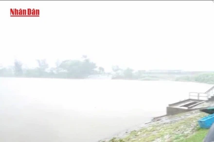 [Video] Chủ động ứng phó gió mạnh, sóng lớn và mưa dông trên biển