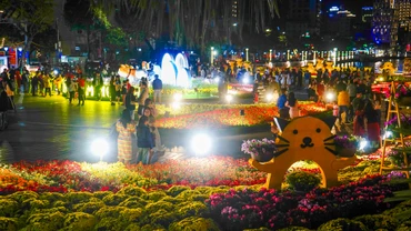 Người dân Đà Nẵng đi dạo đường hoa Xuân.