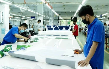 Sản xuất hàng xuất khẩu tại Công ty TNHH LT Garments (Thành phố Bà Rịa).