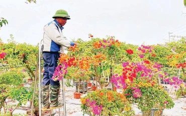 Đưa ba huyện cuối cùng của Hà Nội về đích nông thôn mới 