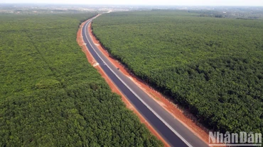 Cao tốc Phan Thiết-Dầu Giây trước thời điểm hoàn thành 1 tháng. (Ảnh: Thiên Vương)
